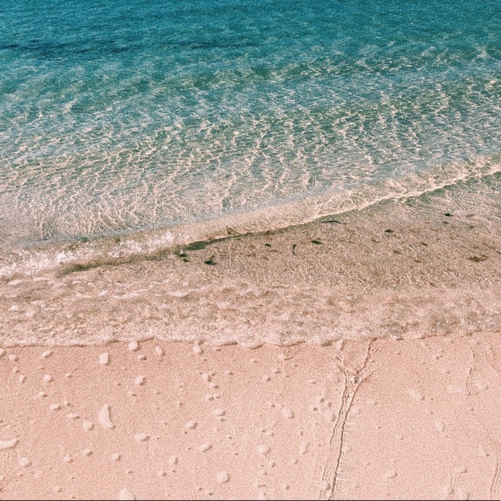 Meet your Posher, Ava